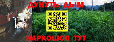 крисы Ижевск