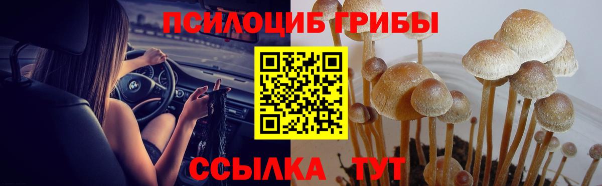 Псилоцибиновые грибы Psilocybe  Псилоцибиновые грибы MAGIC MUSHROOMS  Лянтор  Вход с VPN 
